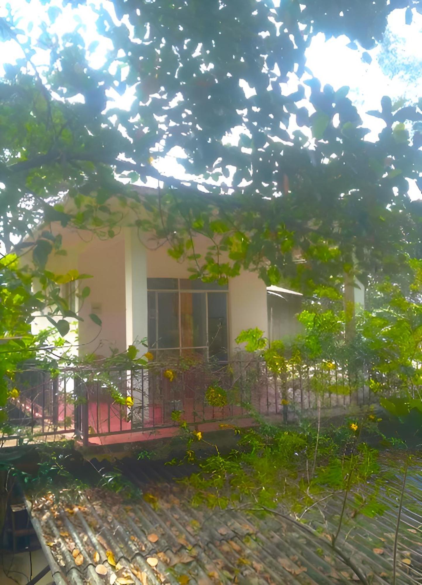 Senehas Homestay Ella Kültér fotó